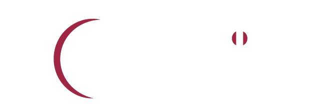 odeosis logo